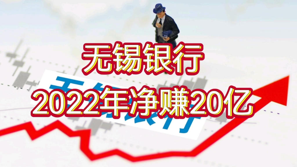 无锡银行2022年净赚20亿哔哩哔哩bilibili