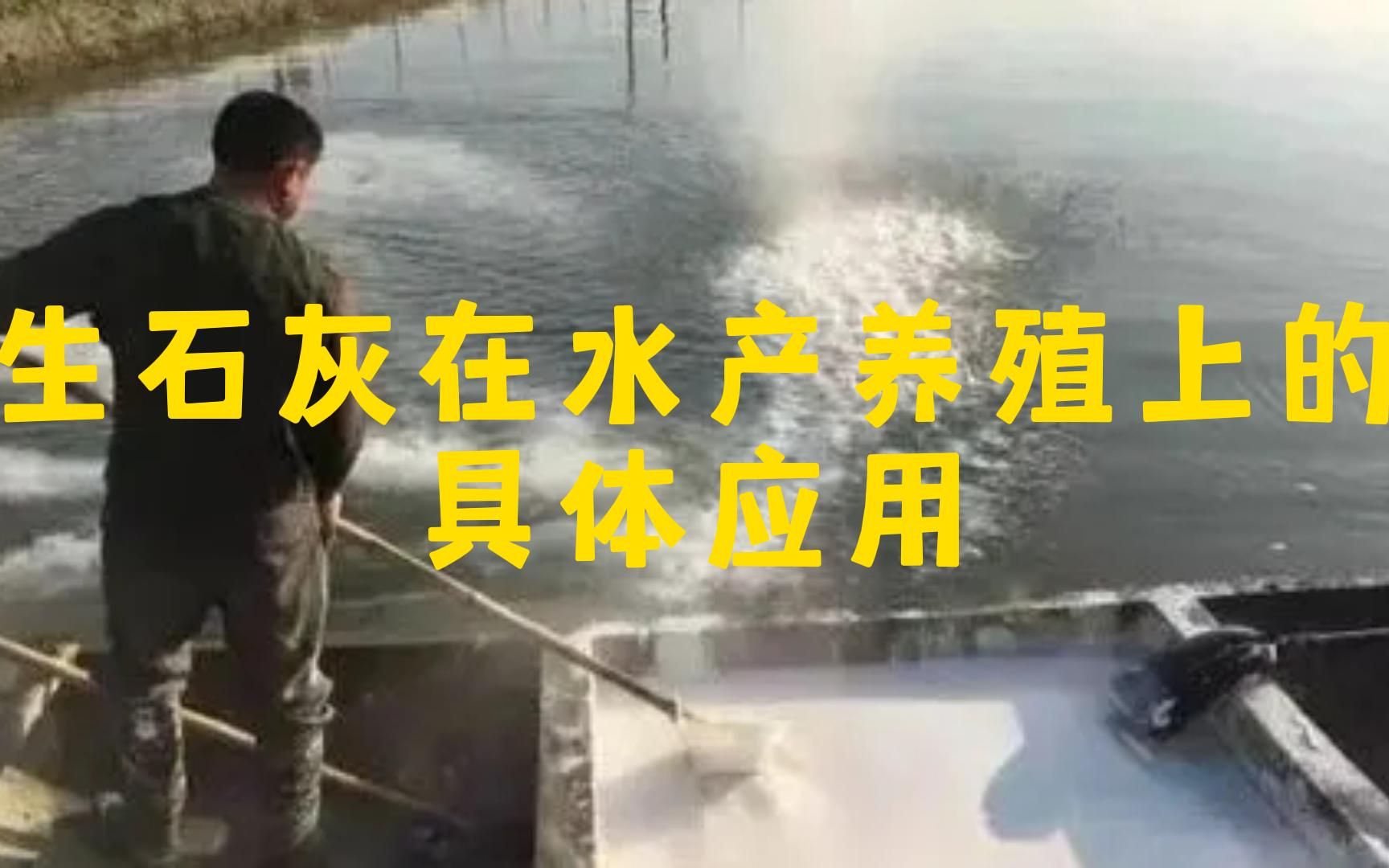 生石灰在水产养殖中的具体应用哔哩哔哩bilibili