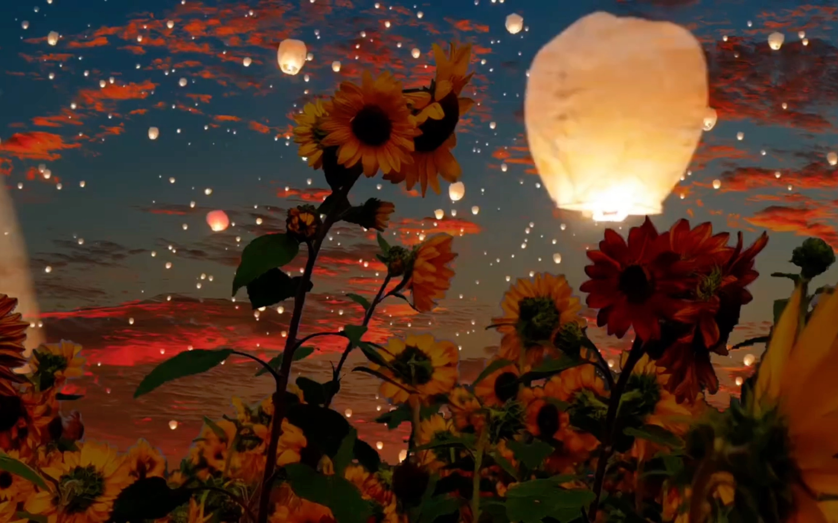 "为你明灯三千,为你花开满城"