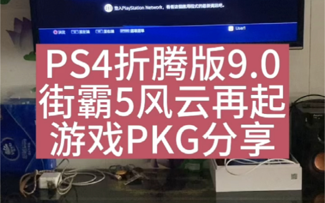 [图]PS4折腾版街头霸王5冠军版风云再起Plus游戏分享