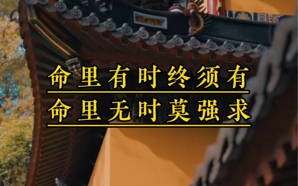 命里有时终须有,命里无时莫强求