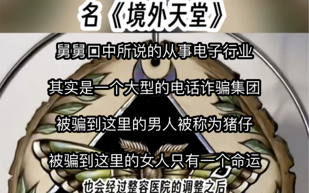 名《境外天堂》我舅舅是缅北最大的军阀,对我来说缅北就是人间天堂……哔哩哔哩bilibili