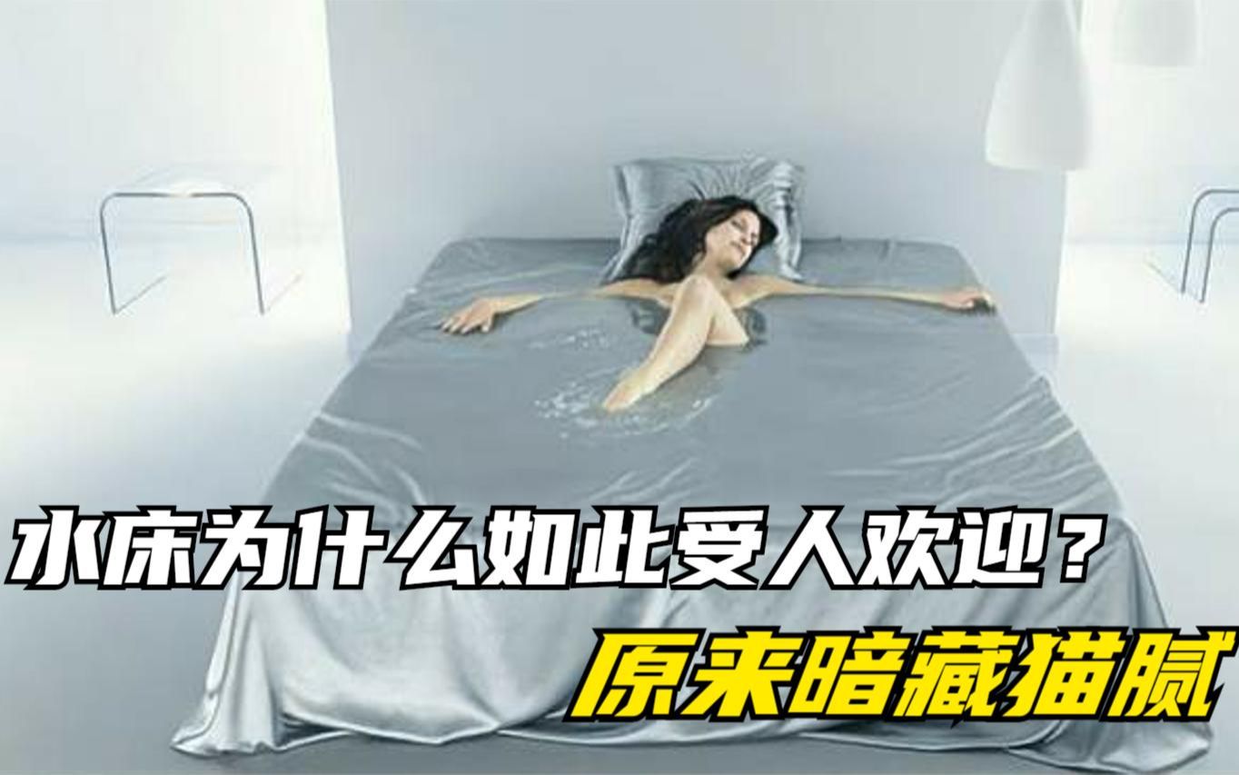 水床为什么如此受人欢迎?不要感觉尴尬,原来暗藏猫腻哔哩哔哩bilibili