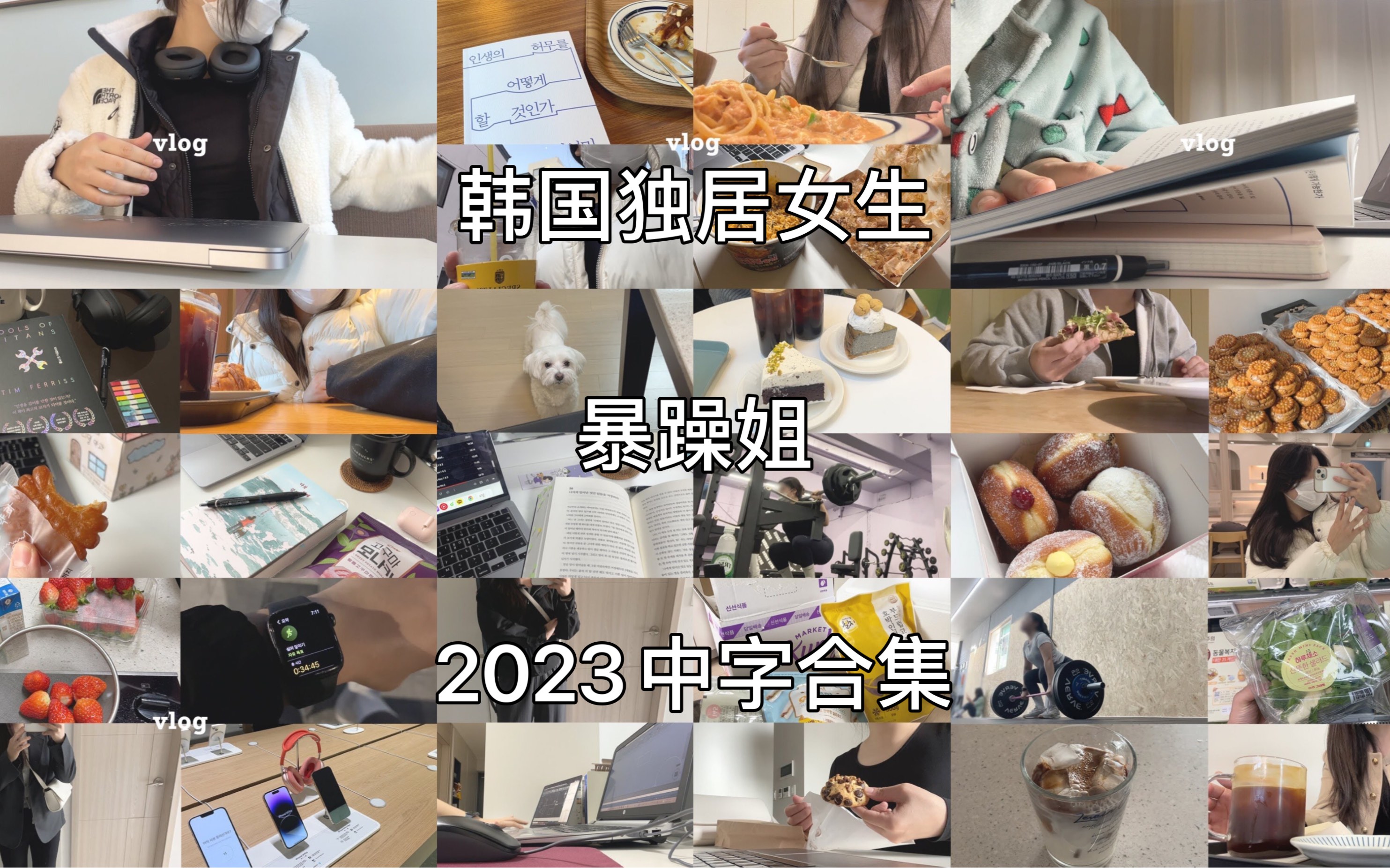 [图]【中字合集】【韩国独居女生日常记录】暴躁姐2023日常合集