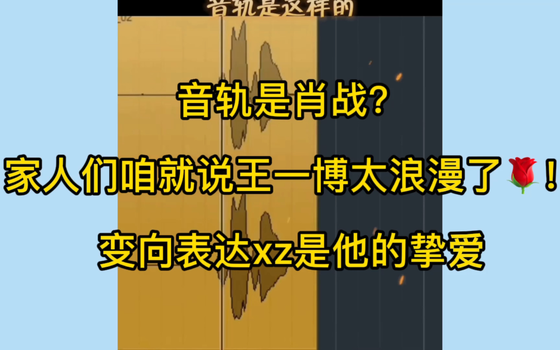 【博君一肖】家人们,wyb是什么浪漫男孩?这是要官宣了吗?哔哩哔哩bilibili