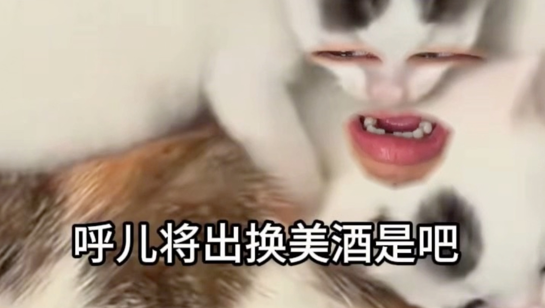 《我推的孩子》