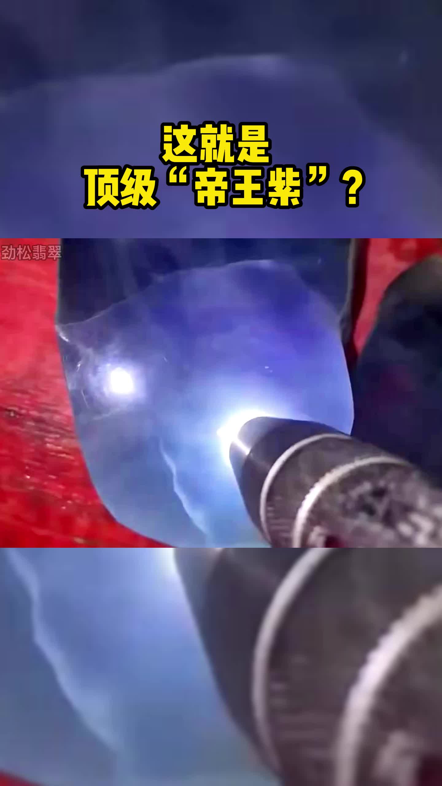 这就是顶级“帝王紫”?哔哩哔哩bilibili