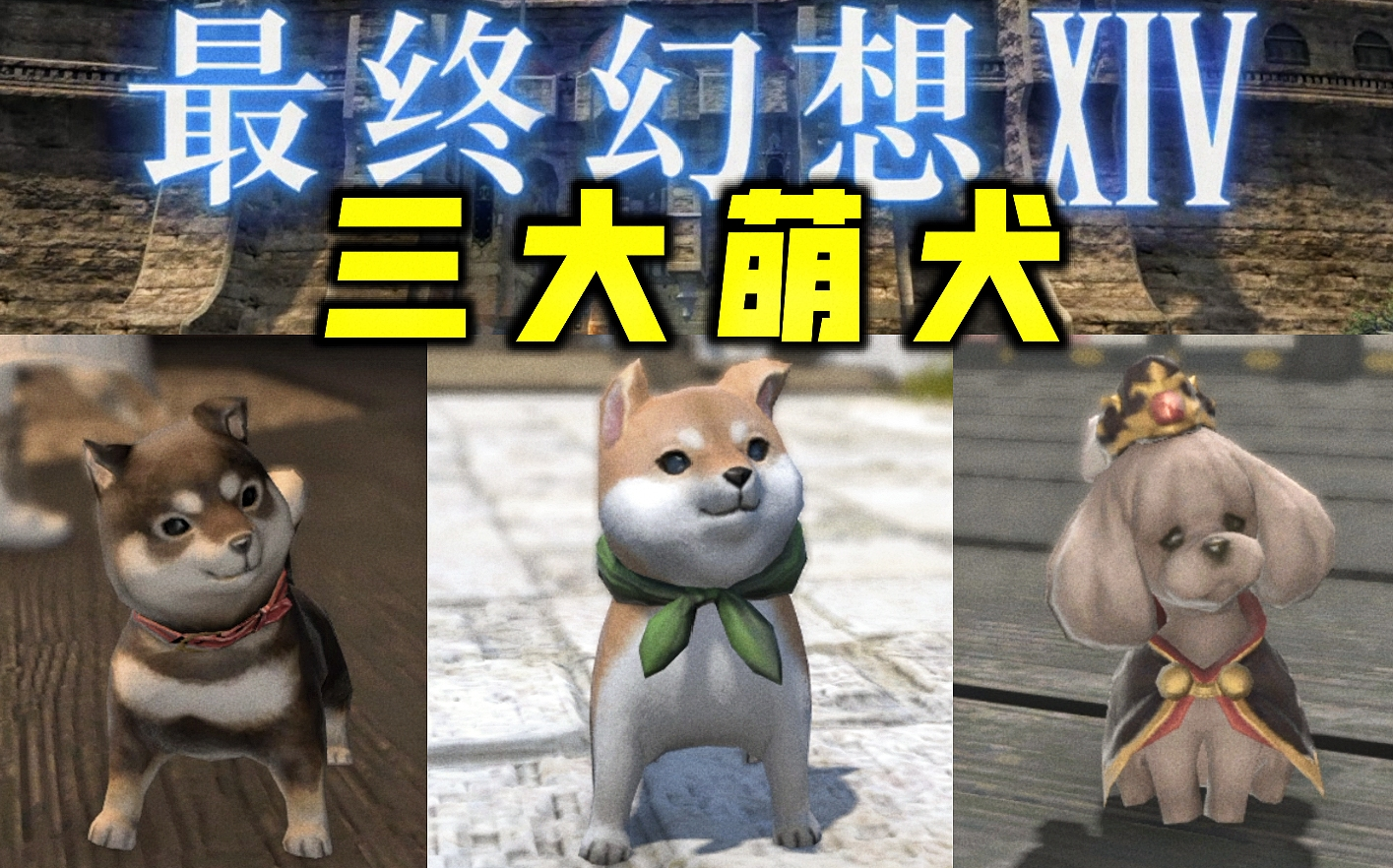 ff14宠物最终幻想14三大萌犬互动展示豆豆柴黑豆柴格斯塔拉