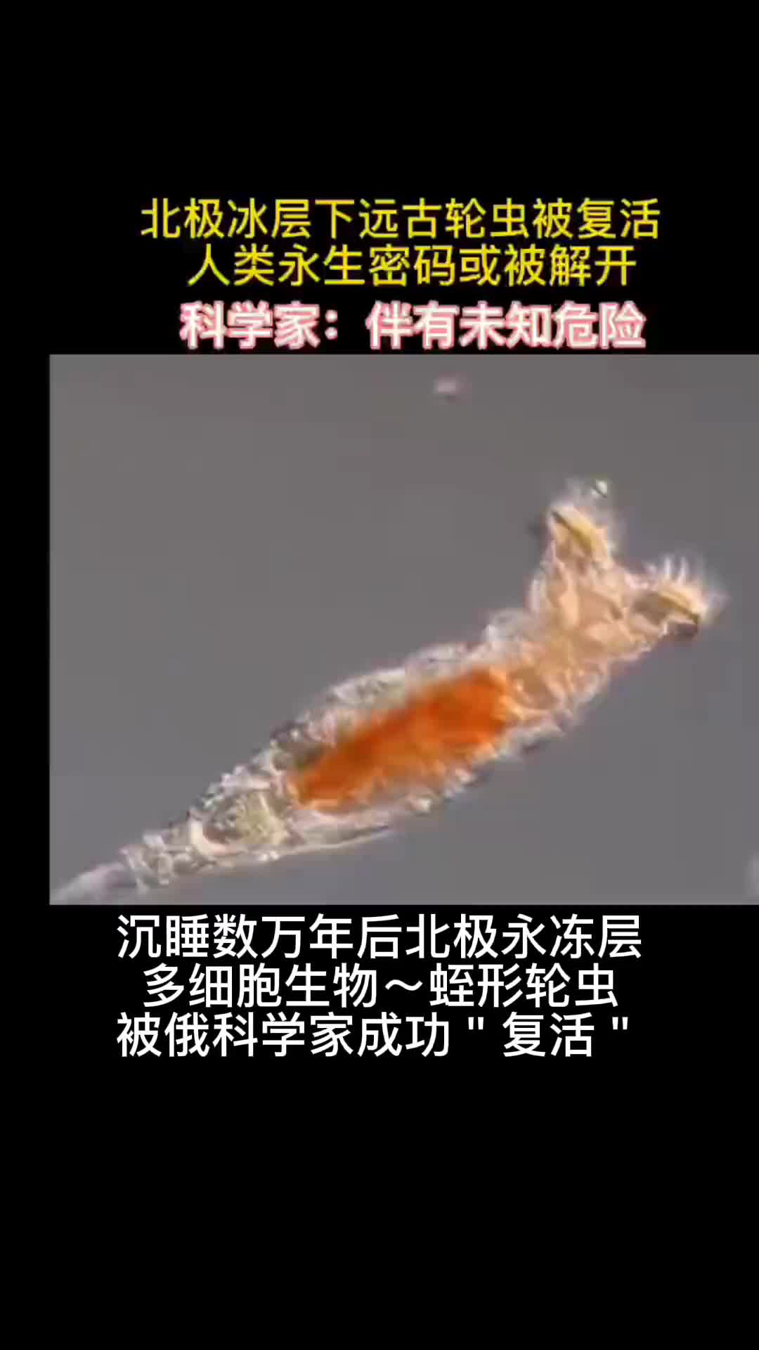 永冻层融化,蛭形轮虫被复活.