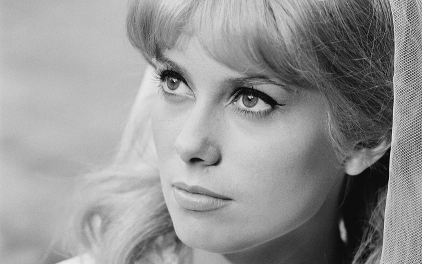 凯瑟琳ⷮŠ德纳芙(Catherine Deneuve)影视银幕19642015剪辑哔哩哔哩bilibili