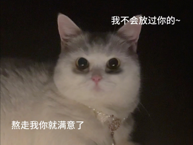 做鬼也不会放过你的!