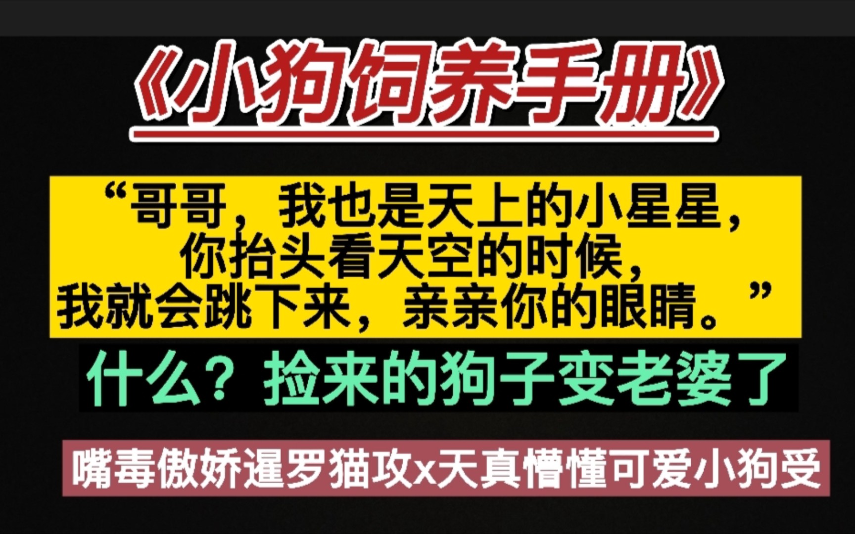 [图]原耽推文《小狗饲养手册》作者：麦香鸡呢