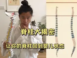 让你的脊柱回到婴儿状态｜身体实现逆生长