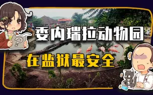 Download Video: 【睡前消息657】在委内瑞拉找动物园，要去监狱