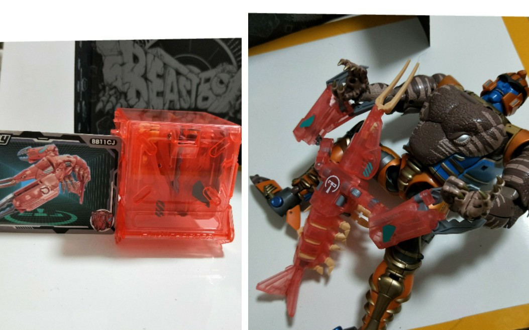 小龙虾.分享视频.