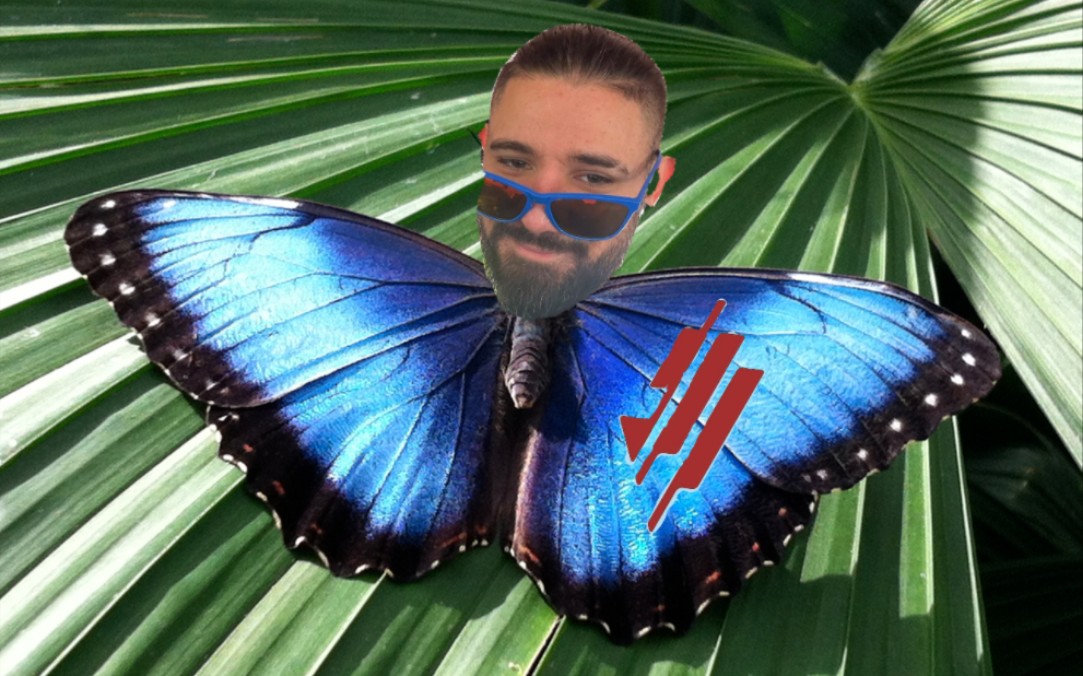 skrillex-butterflies(benix x ghstbyt remix)