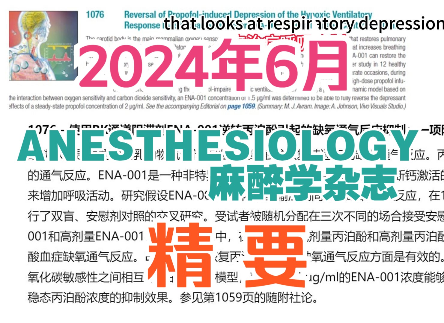 ANESTHESIOLOGY 麻醉学杂志 2024年6月精要哔哩哔哩bilibili