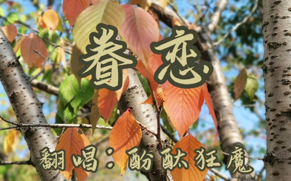 [图]我最爱秋天，是遇见你的季节～李健《眷恋》弹唱