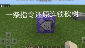 最良かつ最も包括的なminecraft 墨丘利之眼 すべての鉱山クラフトのアイデア