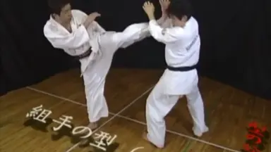 STREETFIGHTKARATE ASHIHARA 1.2.3➕芦原英幸読 芦原会馆-哔哩哔哩_Bilibili