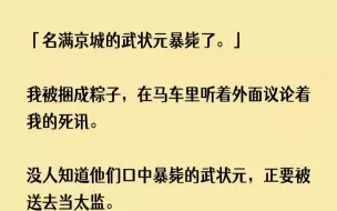 【全文已完结】名满京城的武状元暴毙了。我被捆成粽子，在马车里听着外面议论着我的死讯。...