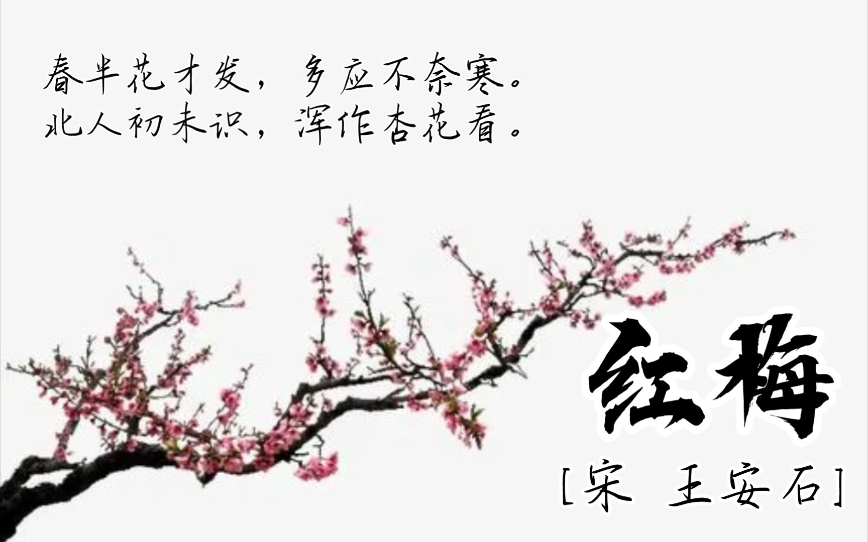 红梅[宋 王安石]春半花才发,多应不奈寒.北人初未识,浑作杏花看.哔哩哔哩bilibili