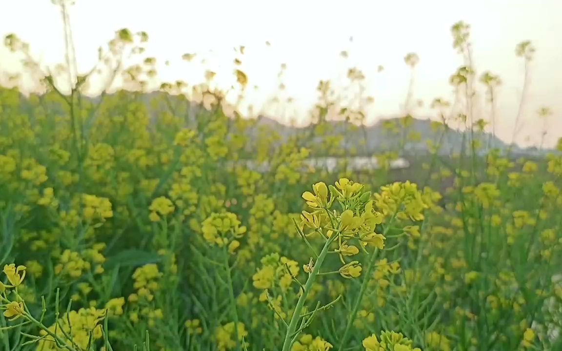 [图]“这个世界上一定有另一个我，做着我不敢做的事，过着我想过的人生”