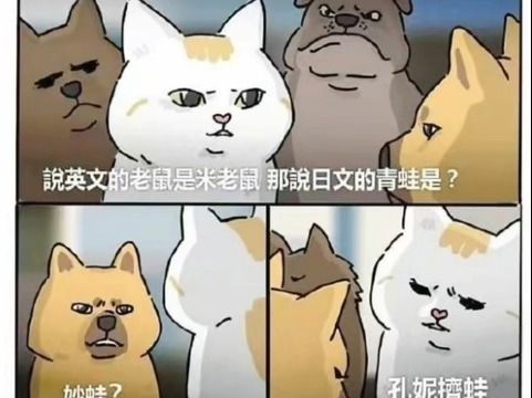 牛哔哩哔哩bilibili