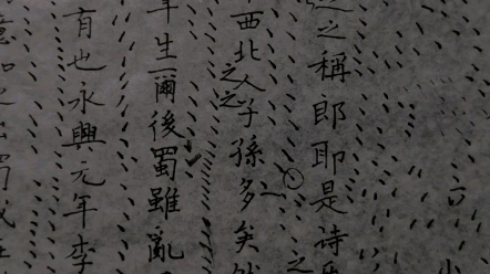中性笔七七四十九天练习赵贺新硬笔基本笔画什么效果