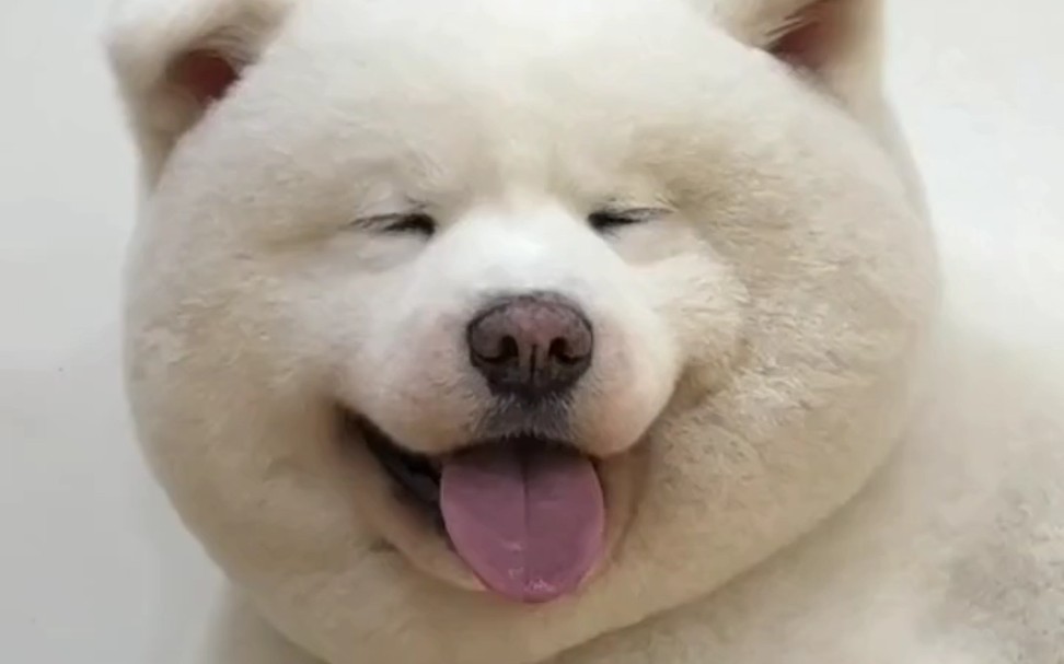 单眼皮一个双眼皮