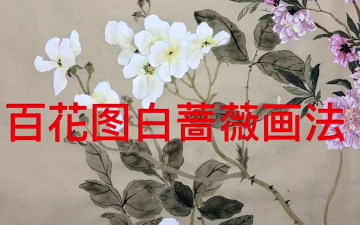 国画 没骨画 百花图哔哩哔哩bilibili