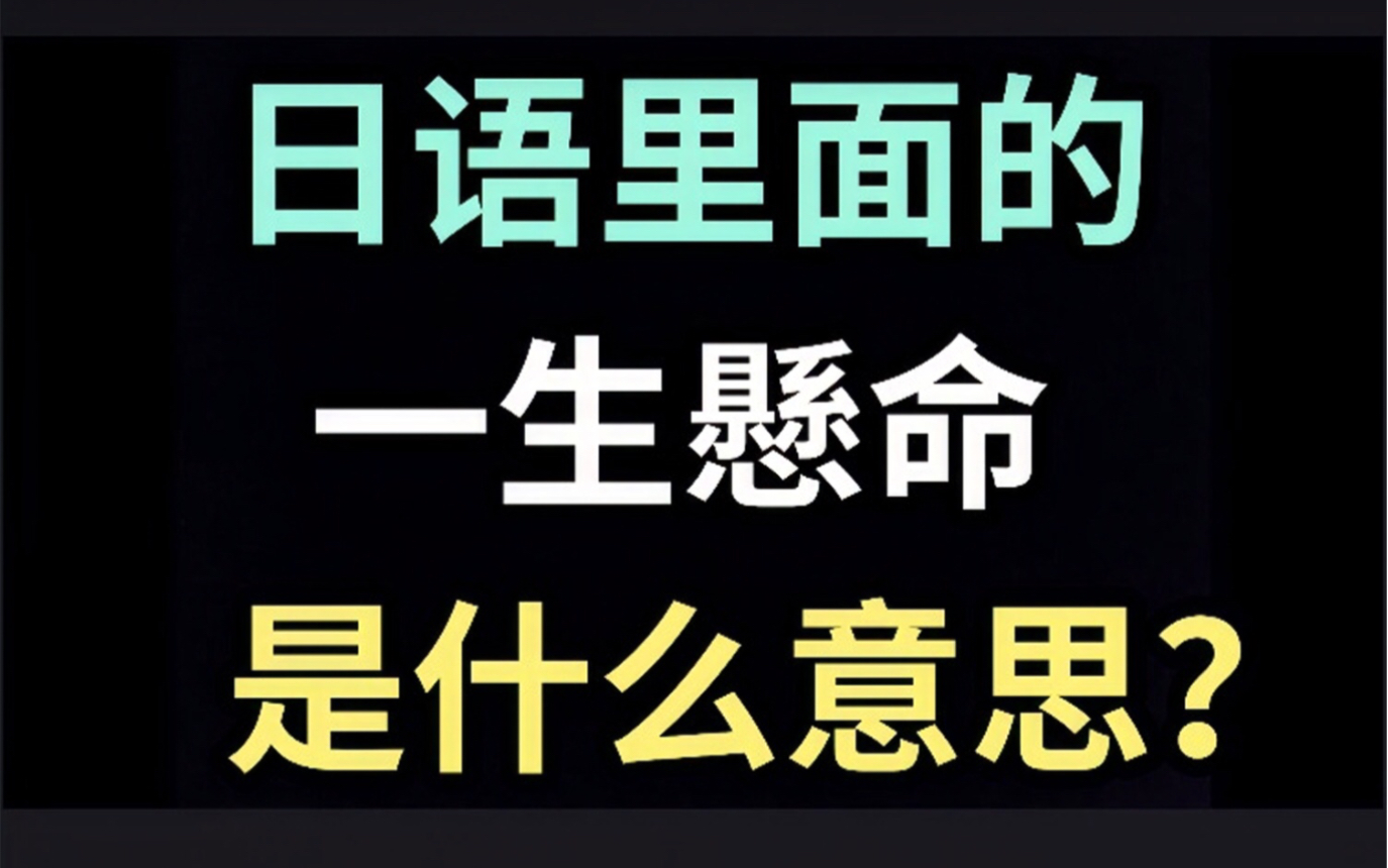 [图]日语里的“一生懸命”是什么意思？【每天一个生草日语】