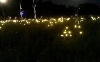 夏季莹火虫 搜索结果 哔哩哔哩 Bilibili