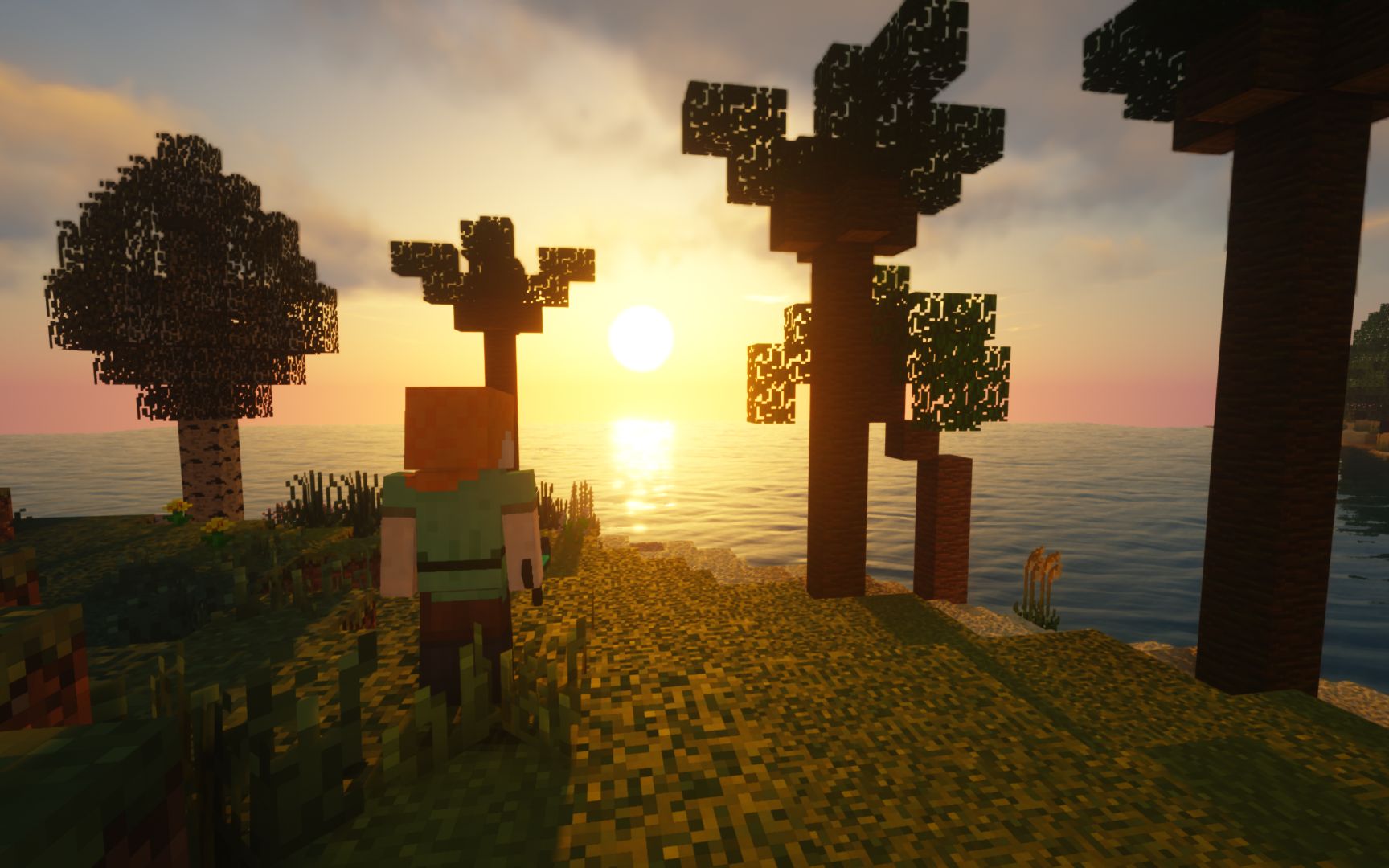 「我的世界/minecraft」第三人称视角-seus光影展示_哔哩哔哩_bili