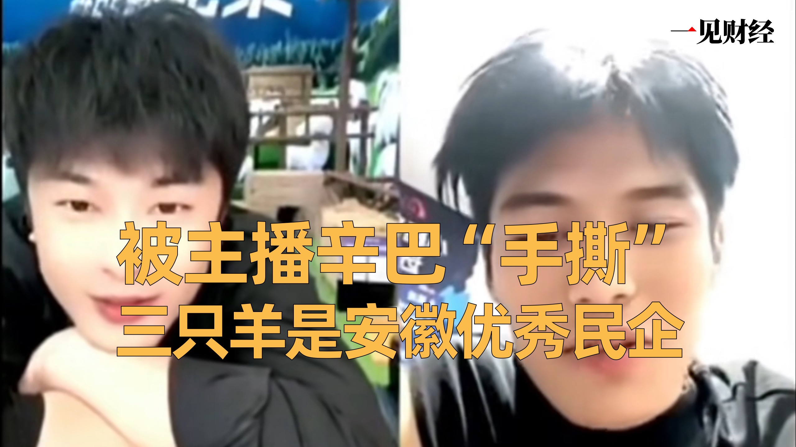 被快手主播辛巴"手撕",三只羊竟是安徽优秀民企