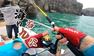 Download Video: 海钓新手也能狂拉的玩法，海钓石九公常用的装备、线组及技巧分享