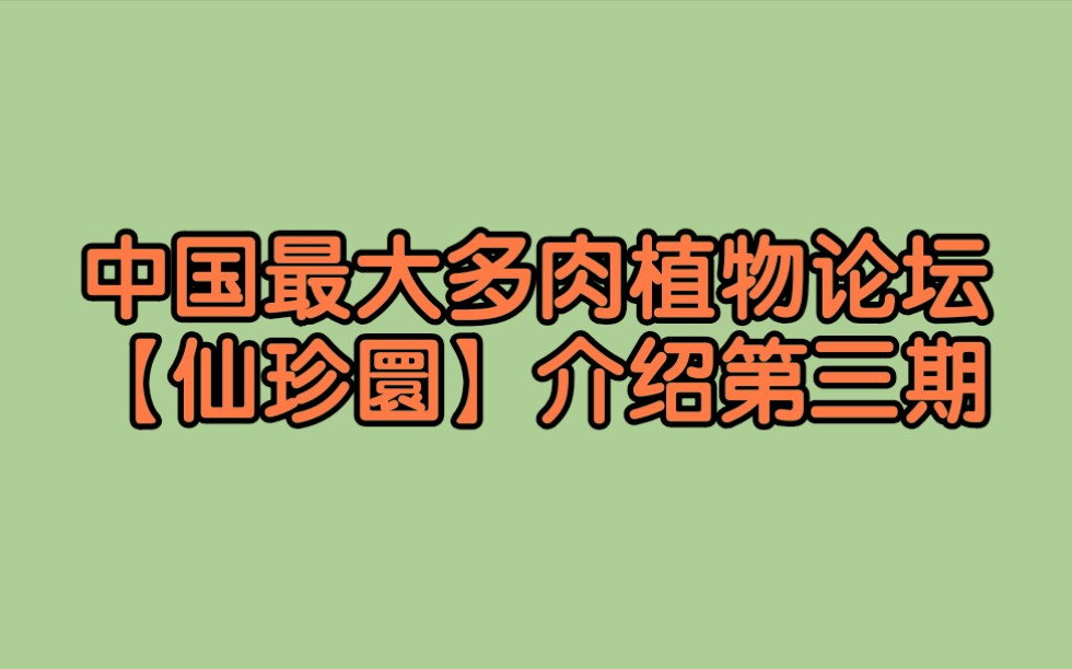 中国最大多肉植物论坛【仙珍圜】介绍第三期【多肉交易区】哔哩哔哩bilibili