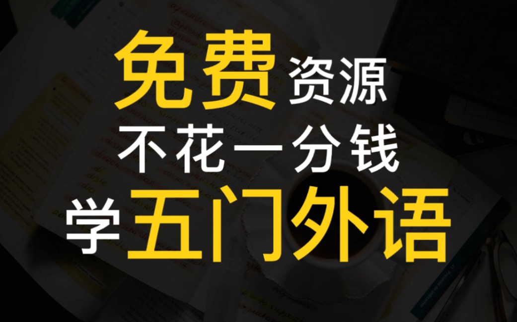 B站小语种up主推荐!5门语言免费学!| 日语 | 韩语 | 法语 | 西语 | 德语哔哩哔哩bilibili