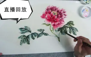 下载视频: 【直播版】初学者工具介绍与牡丹花画法