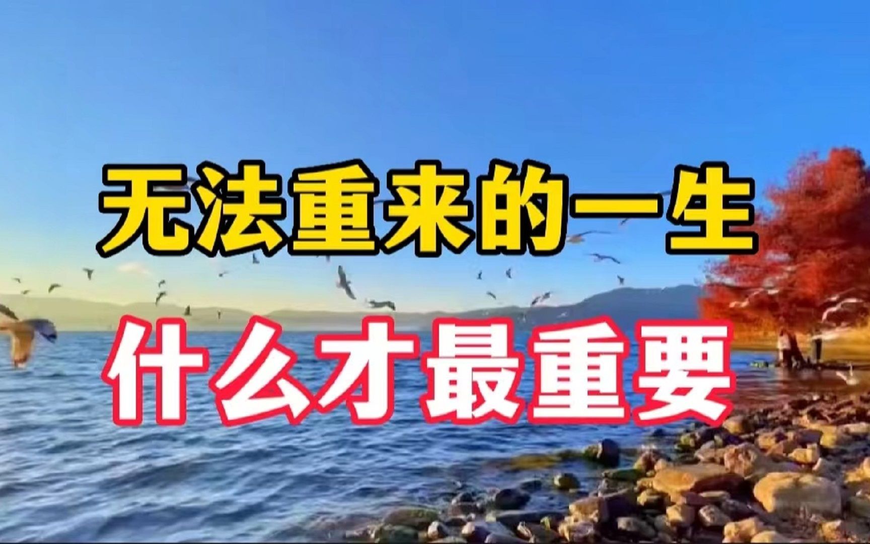 人活一世,什么才是最重要的?人生的4个真相,聪明的你尽早悟透哔哩哔哩bilibili