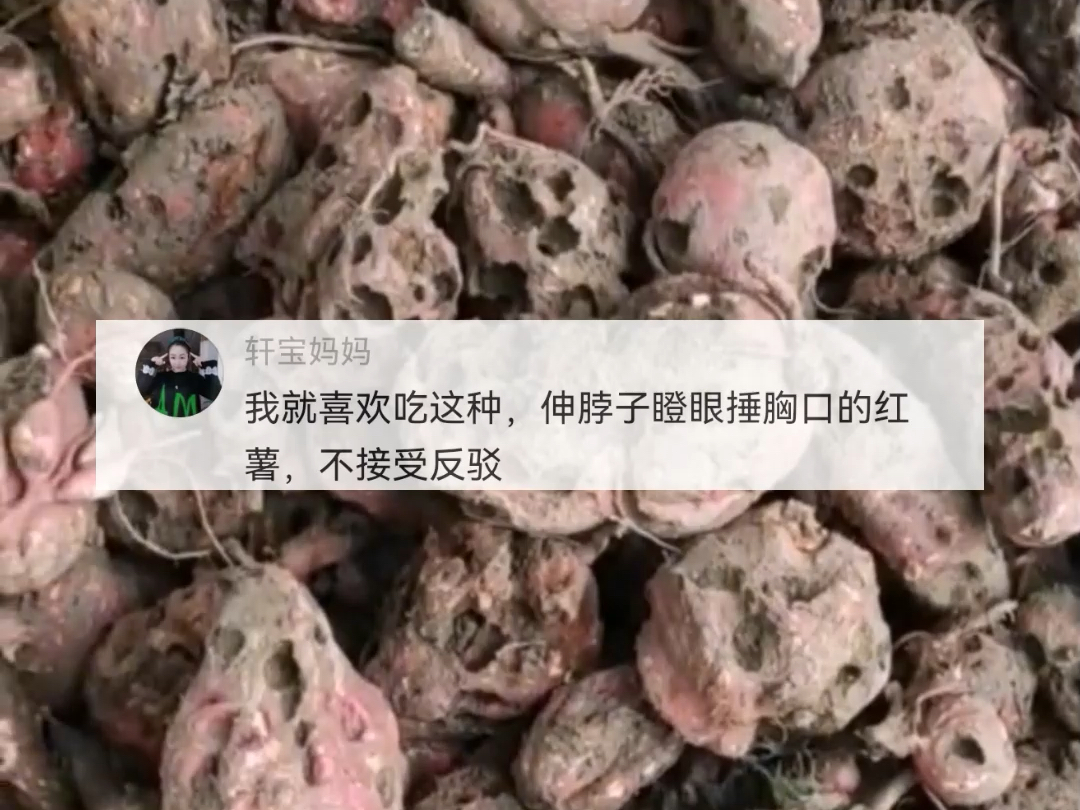 小伙晒秋收的红薯 个头是大,但坑坑洼洼 找不到一个正经红薯样,“它们究竟都经历了啥~”哔哩哔哩bilibili