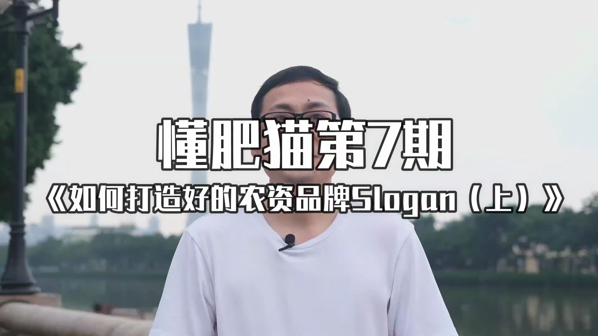 【懂肥猫第7期】如何打造好的农资品牌slogan(广告语)?哔哩哔哩bilibili