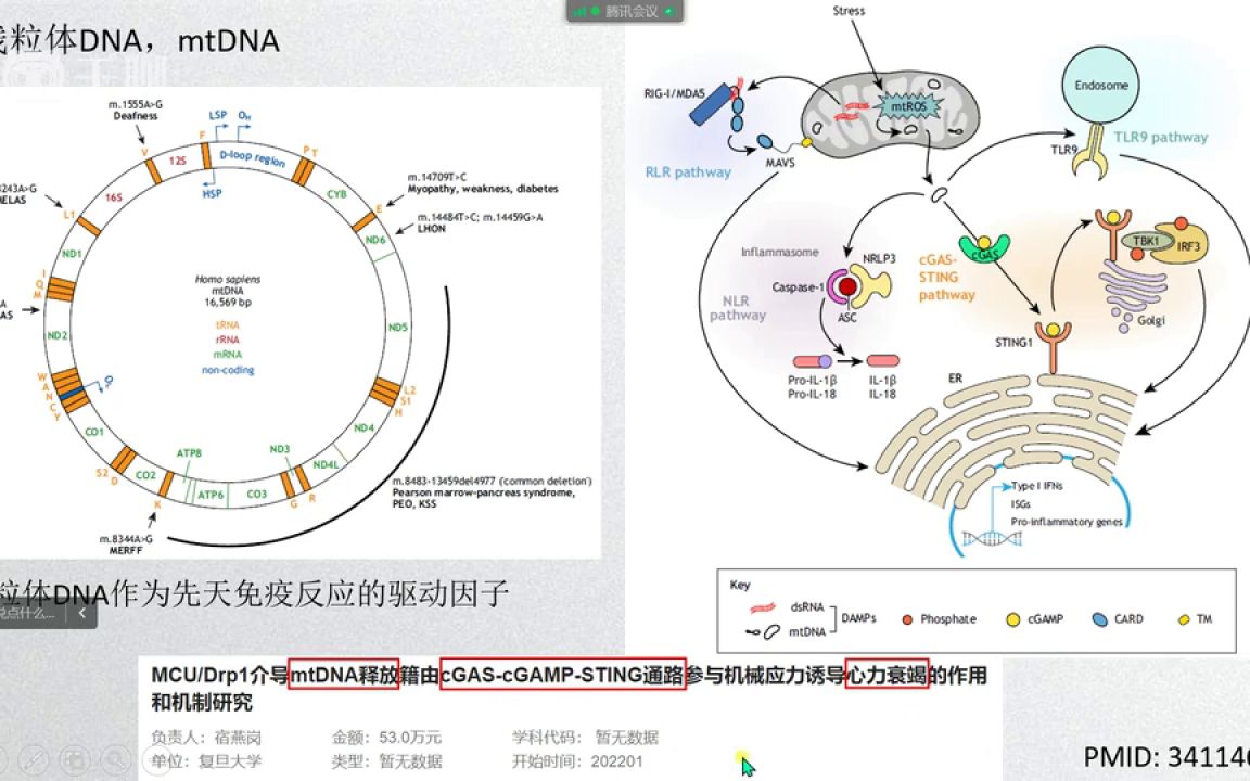 零基础医学综述撰写教程医学会员免费学哔哩哔哩bilibili