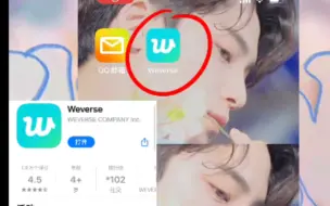 【weverse教程】weverse的注册与使用