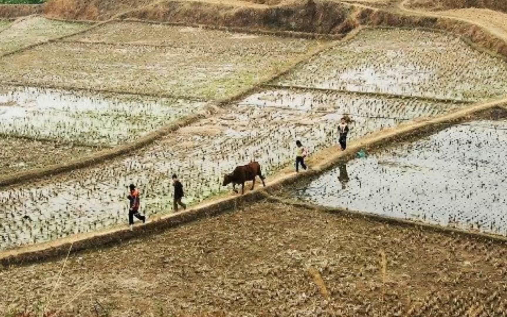 [图]青春的 足迹 上集