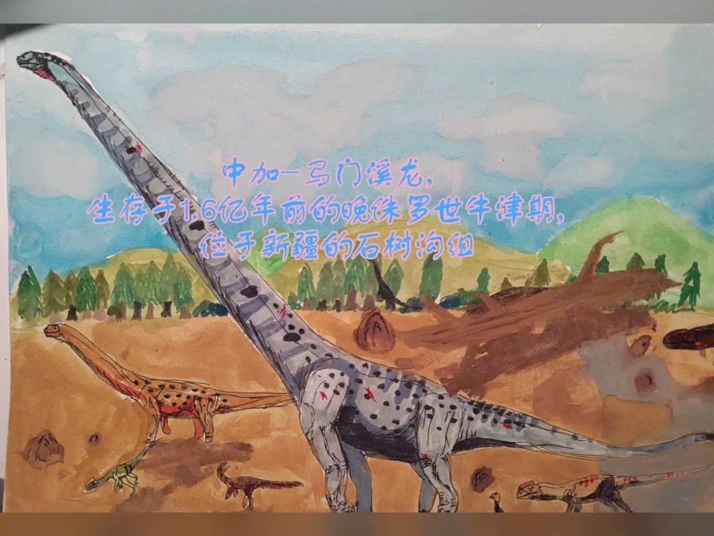 中加马门溪龙简介