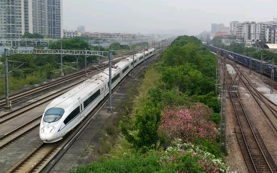 g6017次(长沙南站—深圳北站)本务中国铁路广州局集团有限公司广州