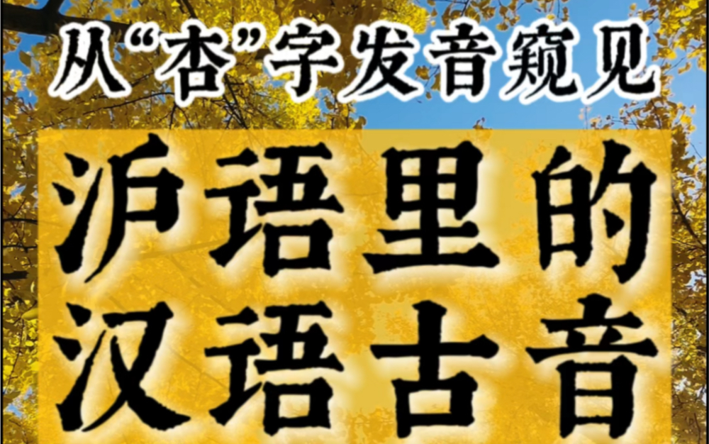 上海话趣谈|从“杏”字发音窥见沪语里的汉语古音哔哩哔哩bilibili