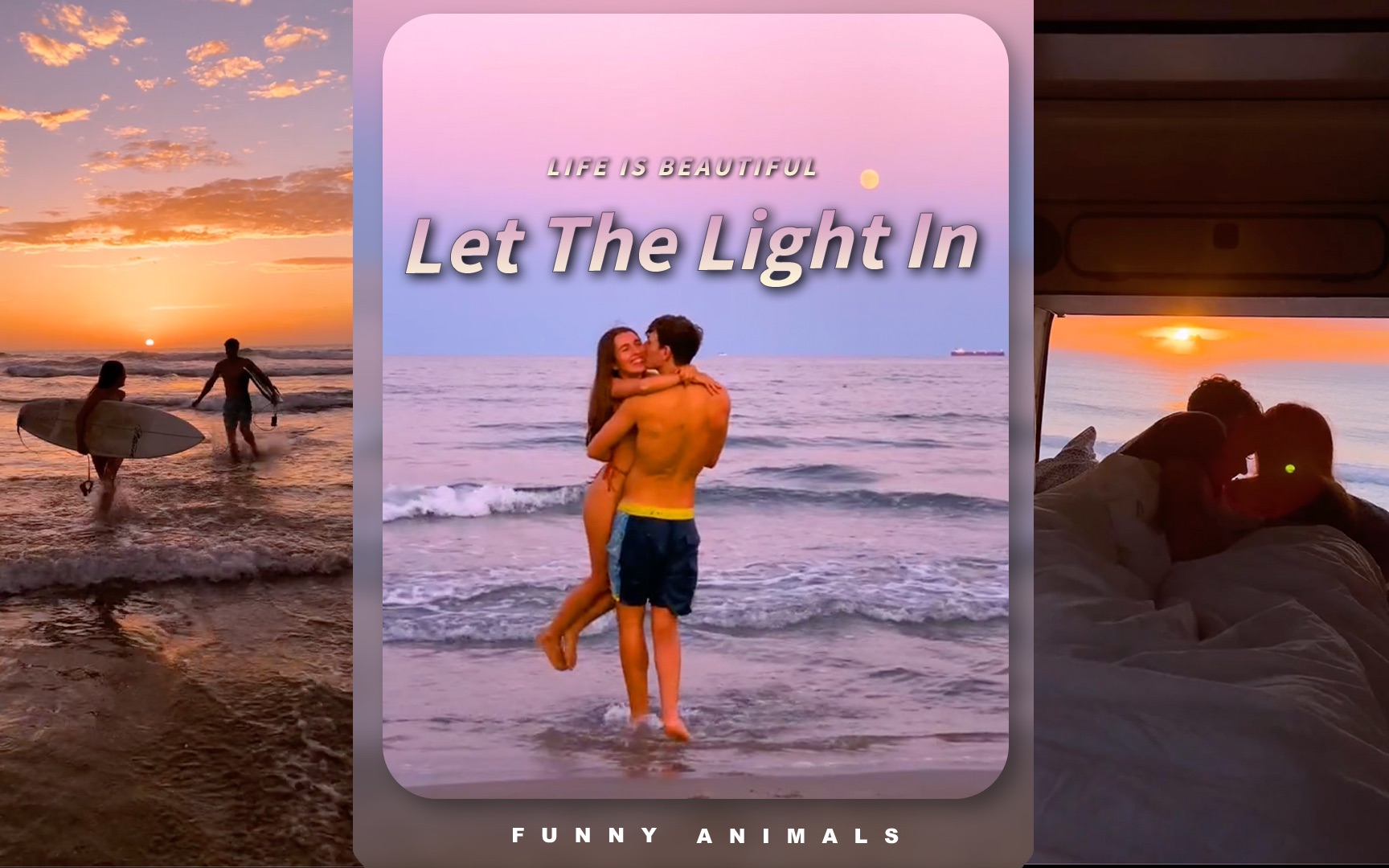 打雷新专歌曲《Let The Light In》----让阳光洒满我心 ️-FUNNY-ANIMALS-FUNNY-ANIMALS-哔哩哔哩视频