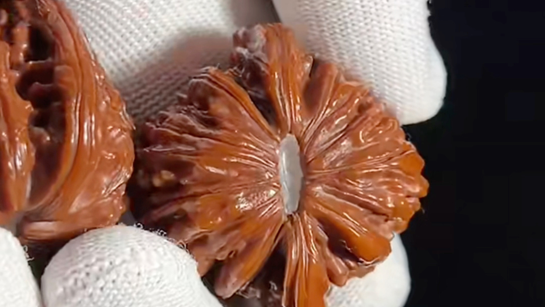 玉化四座楼"生长线"展示6015